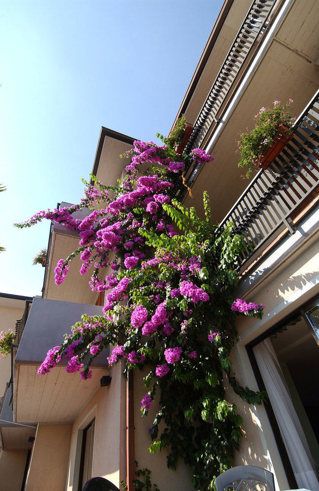 Hotel Park Faver 3*